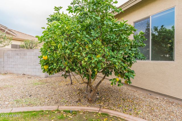 13354 W SAN MIGUEL Avenue, Litchfield Park, AZ 85340