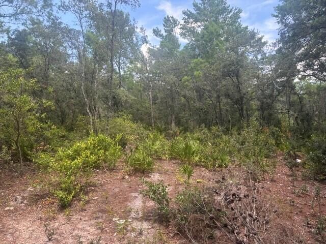 0 Us Hwy 27, Lake Wales, FL 33859