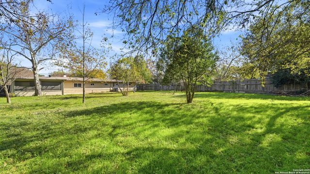 1032 S Mesquite Avenue, New Braunfels, TX 78130