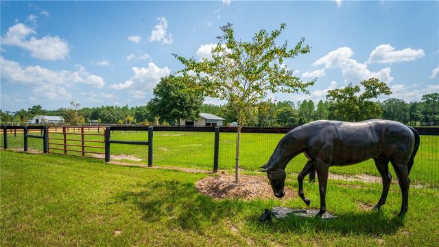 3650 SE 165TH AVENUE, Morriston, FL 32668