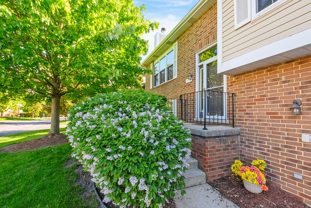 19778 Ascot Place 2, Mokena, IL 60448