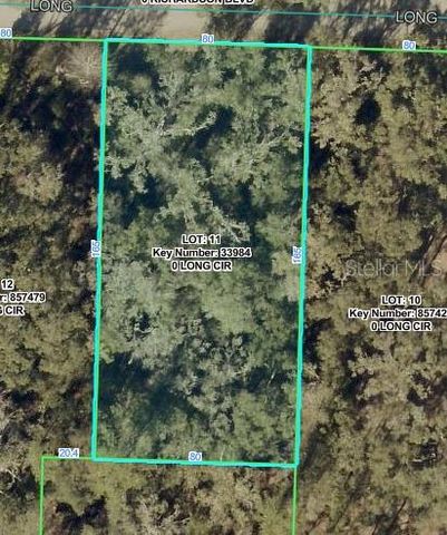 LONG CIRCLE, Webster, FL 33597