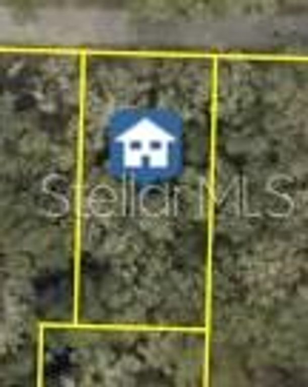 LONG CIRCLE, Webster, FL 33597