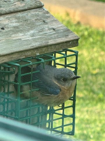 19511 SW 77TH LOOP, Dunnellon, FL 34432