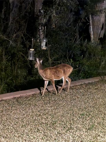 19511 SW 77TH LOOP, Dunnellon, FL 34432