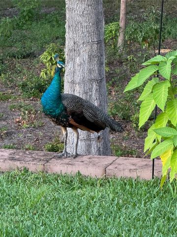 19511 SW 77TH LOOP, Dunnellon, FL 34432