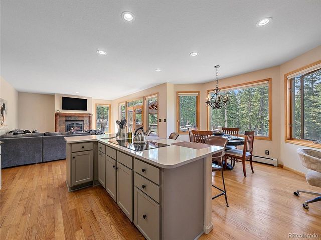 1434 Belford Ct, Evergreen, CO 80439