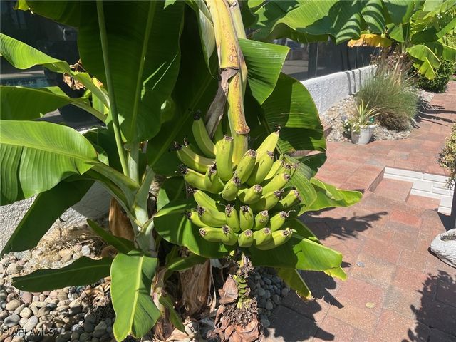 118 SW 51st TER, Cape Coral, FL 33914