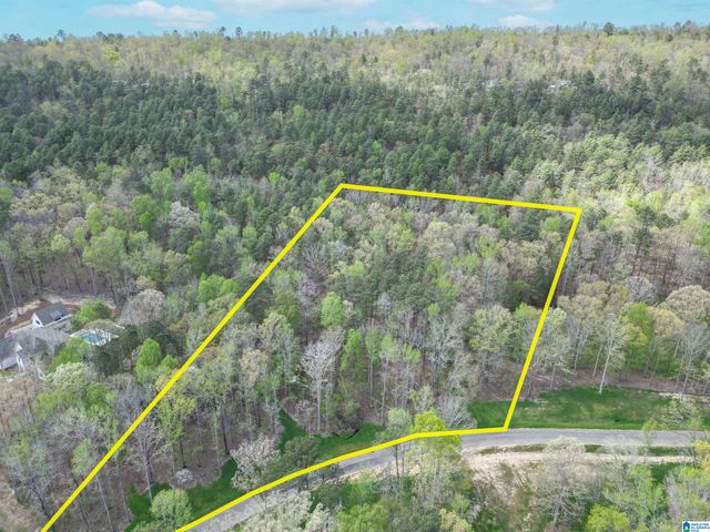 301 WINCHESTER PASS, Birmingham, AL 35242