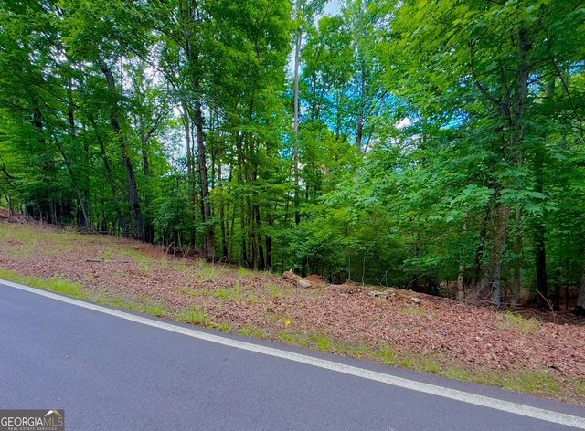 2246 Palisade Drive, Ellijay, GA 30540