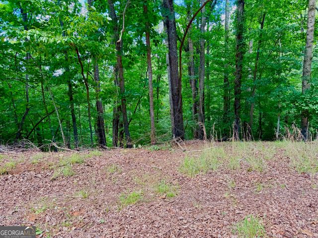2246 Palisade Drive, Ellijay, GA 30540
