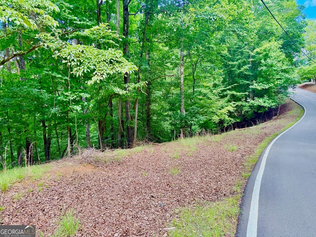 2246 Palisade Drive, Ellijay, GA 30540