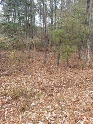 Lot 205 Prices Bridge Lane, Walterboro, SC 29488