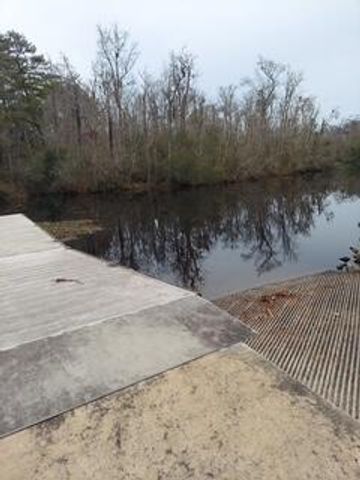 Lot 205 Prices Bridge Lane, Walterboro, SC 29488