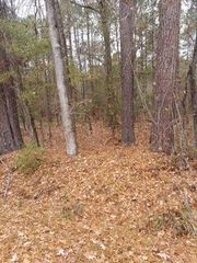 Lot 205 Prices Bridge Lane, Walterboro, SC 29488