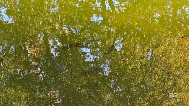 0 Red Eagle Drive, Daphne, AL 36526