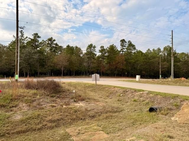 7629 Trinity Pines Drive, Montgomery, TX 77316