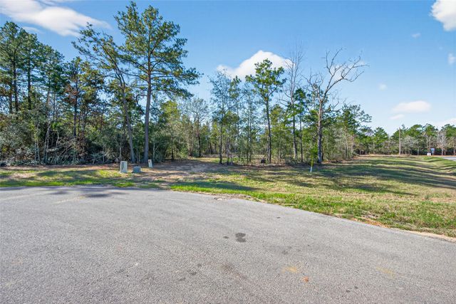 7629 Trinity Pines Drive, Montgomery, TX 77316