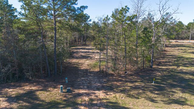 7629 Trinity Pines Drive, Montgomery, TX 77316