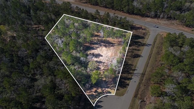 7629 Trinity Pines Drive, Montgomery, TX 77316