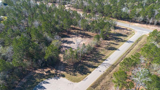 7629 Trinity Pines Drive, Montgomery, TX 77316