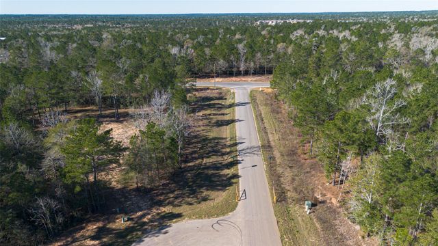 7629 Trinity Pines Drive, Montgomery, TX 77316