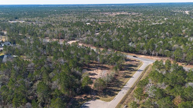 7629 Trinity Pines Drive, Montgomery, TX 77316