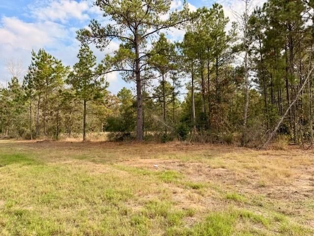 7629 Trinity Pines Drive, Montgomery, TX 77316