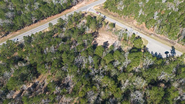 7629 Trinity Pines Drive, Montgomery, TX 77316