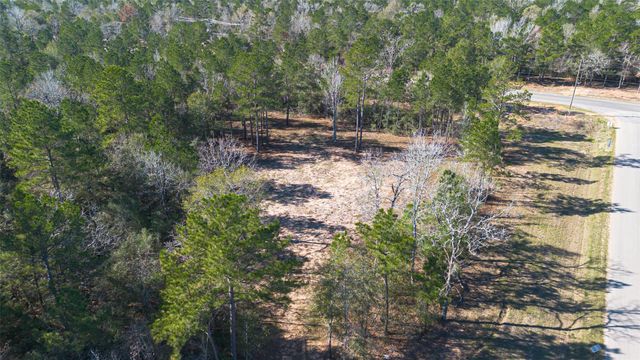 7629 Trinity Pines Drive, Montgomery, TX 77316