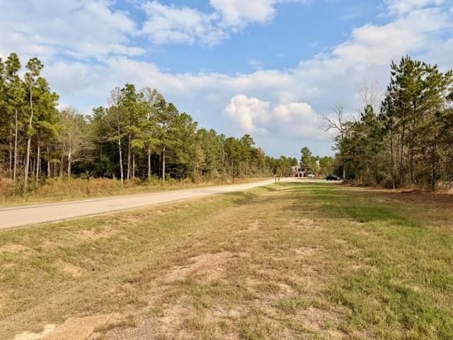 7629 Trinity Pines Drive, Montgomery, TX 77316