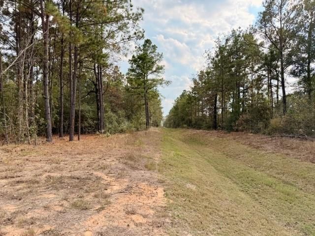 7629 Trinity Pines Drive, Montgomery, TX 77316