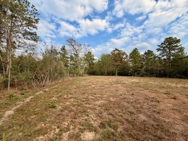 7629 Trinity Pines Drive, Montgomery, TX 77316