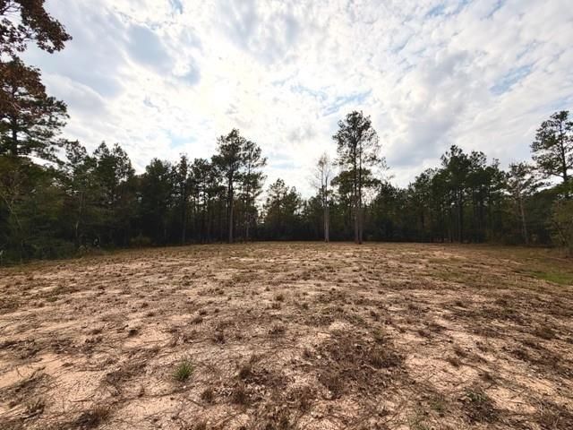 7629 Trinity Pines Drive, Montgomery, TX 77316