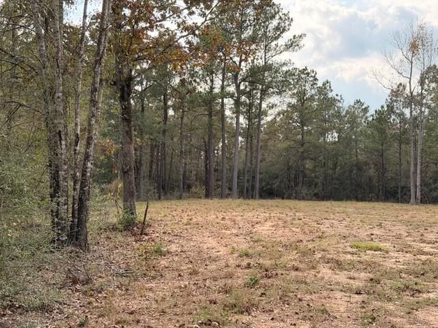 7629 Trinity Pines Drive, Montgomery, TX 77316