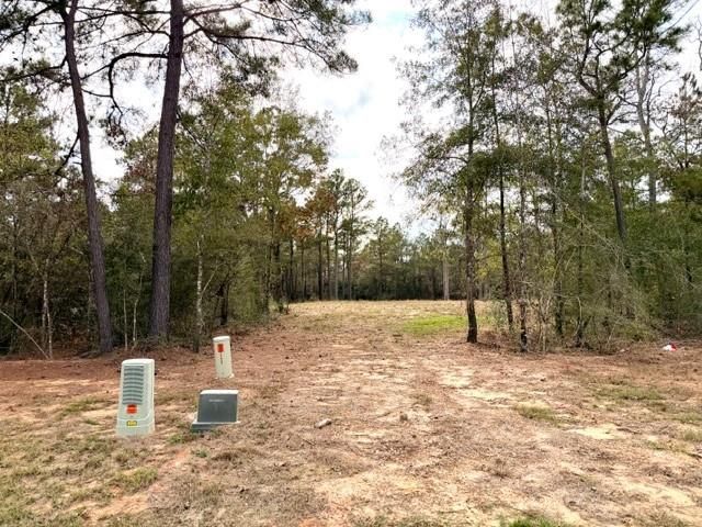 7629 Trinity Pines Drive, Montgomery, TX 77316