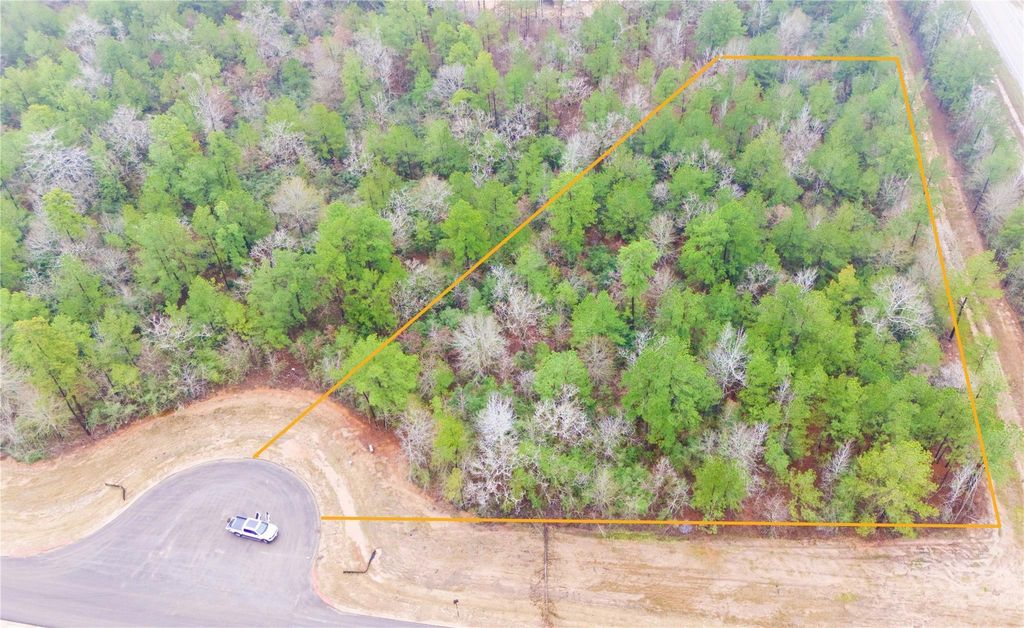 7629 Trinity Pines Drive, Montgomery, TX 77316