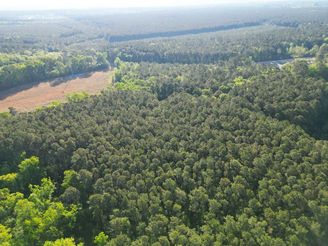 1162 Carter Road, Ridgeville, SC 29472