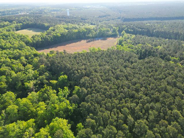 1162 Carter Road, Ridgeville, SC 29472