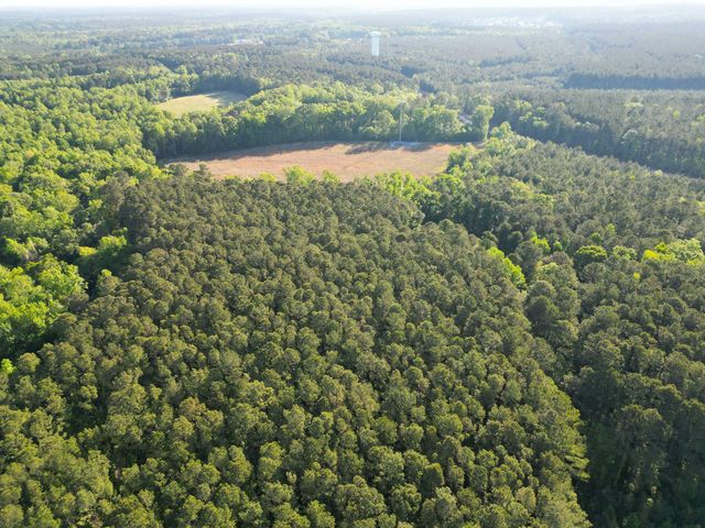 1162 Carter Road, Ridgeville, SC 29472