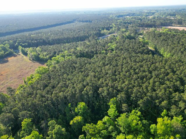 1162 Carter Road, Ridgeville, SC 29472