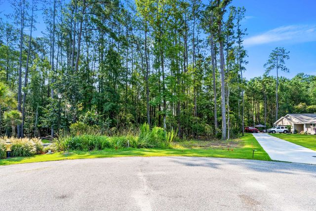 200 Joanna Gillard Ln., Georgetown, SC 29440