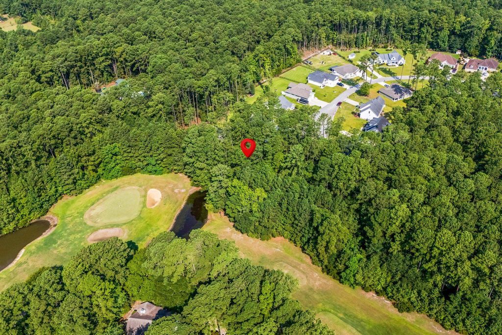 200 Joanna Gillard Ln., Georgetown, SC 29440 — photo 4