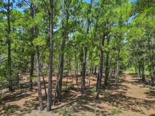 Lot 55 Akala LN, Bastrop, TX 78602