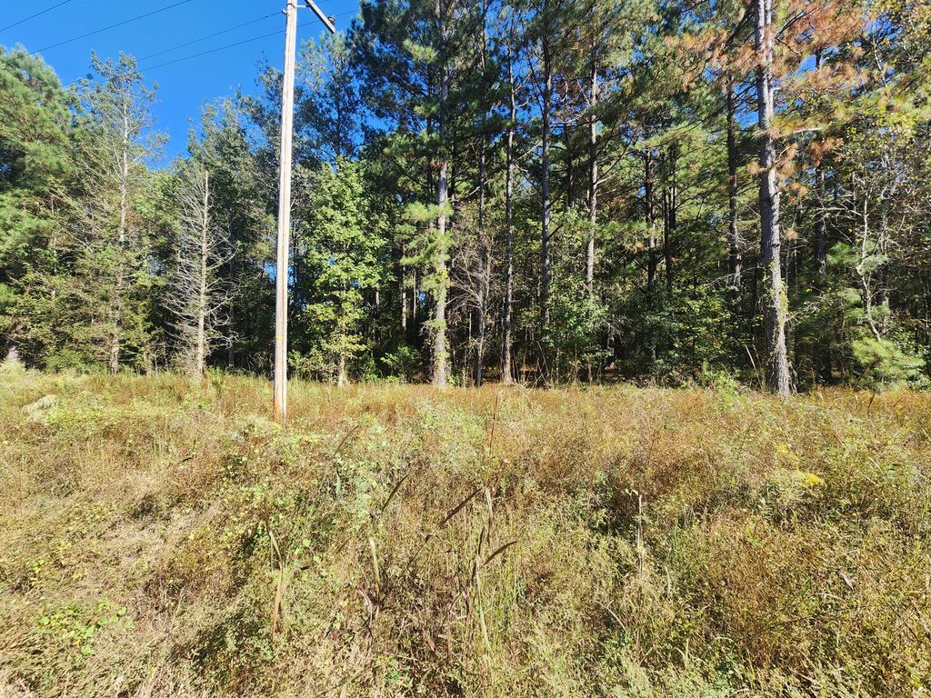 0 Ordie Road, Saint George, SC 29477