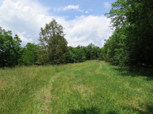 200 Hardy Rd, Pulaski, TN 38478