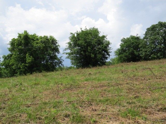 200 Hardy Rd, Pulaski, TN 38478