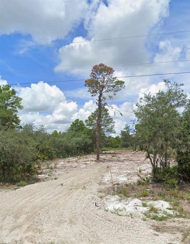 0 WOODSTORK WAY, Frostproof, FL 33843