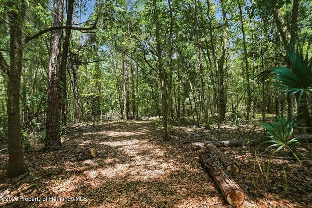24050 Winding Creek Drive, Brooksville, FL 34601