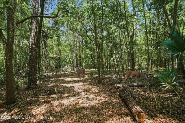 24050 Winding Creek Drive, Brooksville, FL 34601